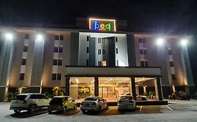 The Bed Hotel